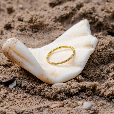 Zarra Paved Ring | 18k Guld - DK BUTIK