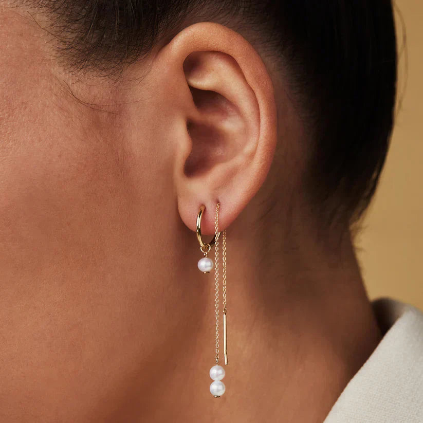 Delia Crest Øreringe | Guld 14k - DK BUTIK